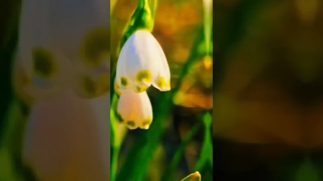 Для души   красиво Очень