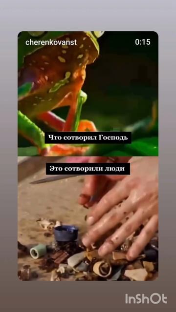 Что мы творим???