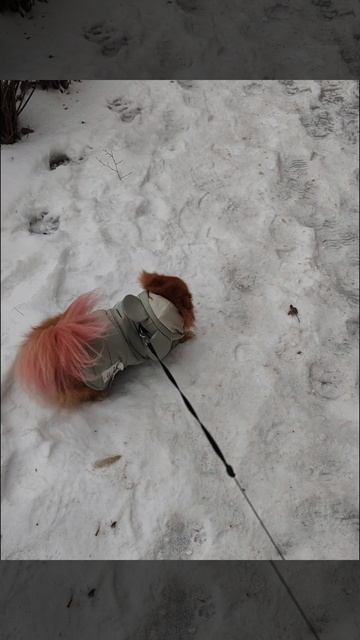 25fdf64943b0775bb90647530c5310a6