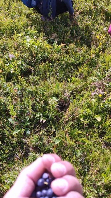 76313e4459d7c7060840ee5551e56624