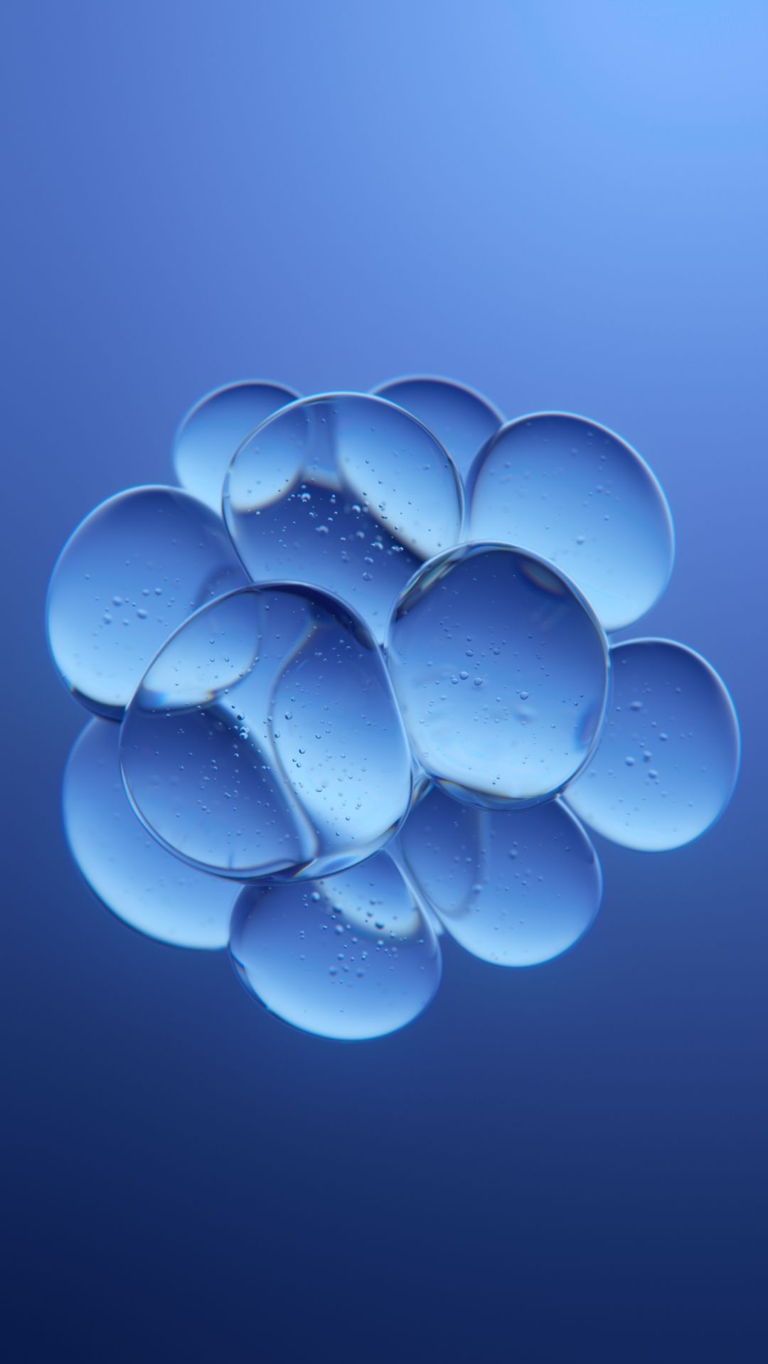 Бластоциста