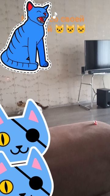 Игра с кошкой 😺😺❤️