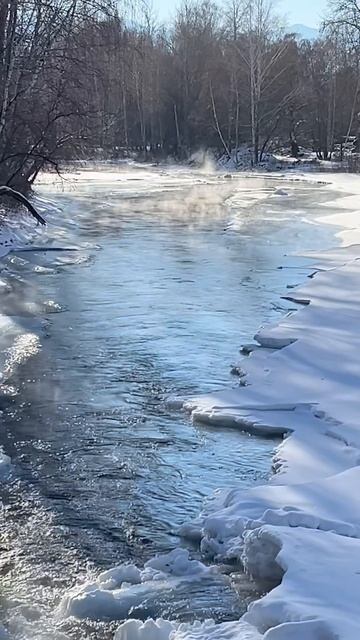 Наша зима 2025-2026☃️❄️.