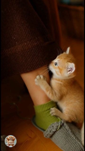 Бабушка и малыш