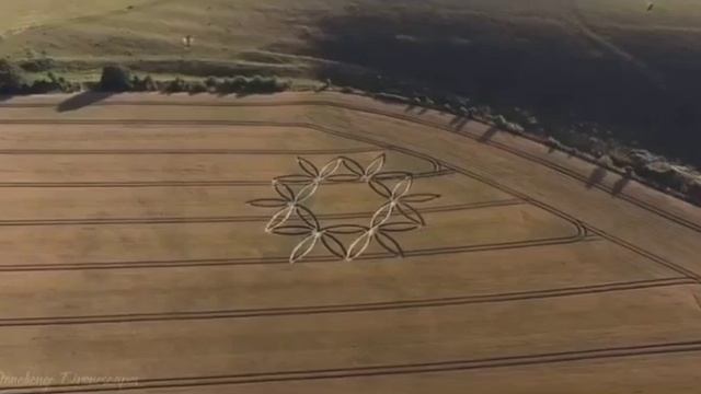 Круги на полях 67