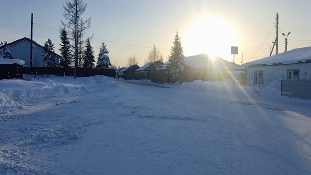 Пошла гулять и много болтаю, о погоде, о питании😉 Мою Летти