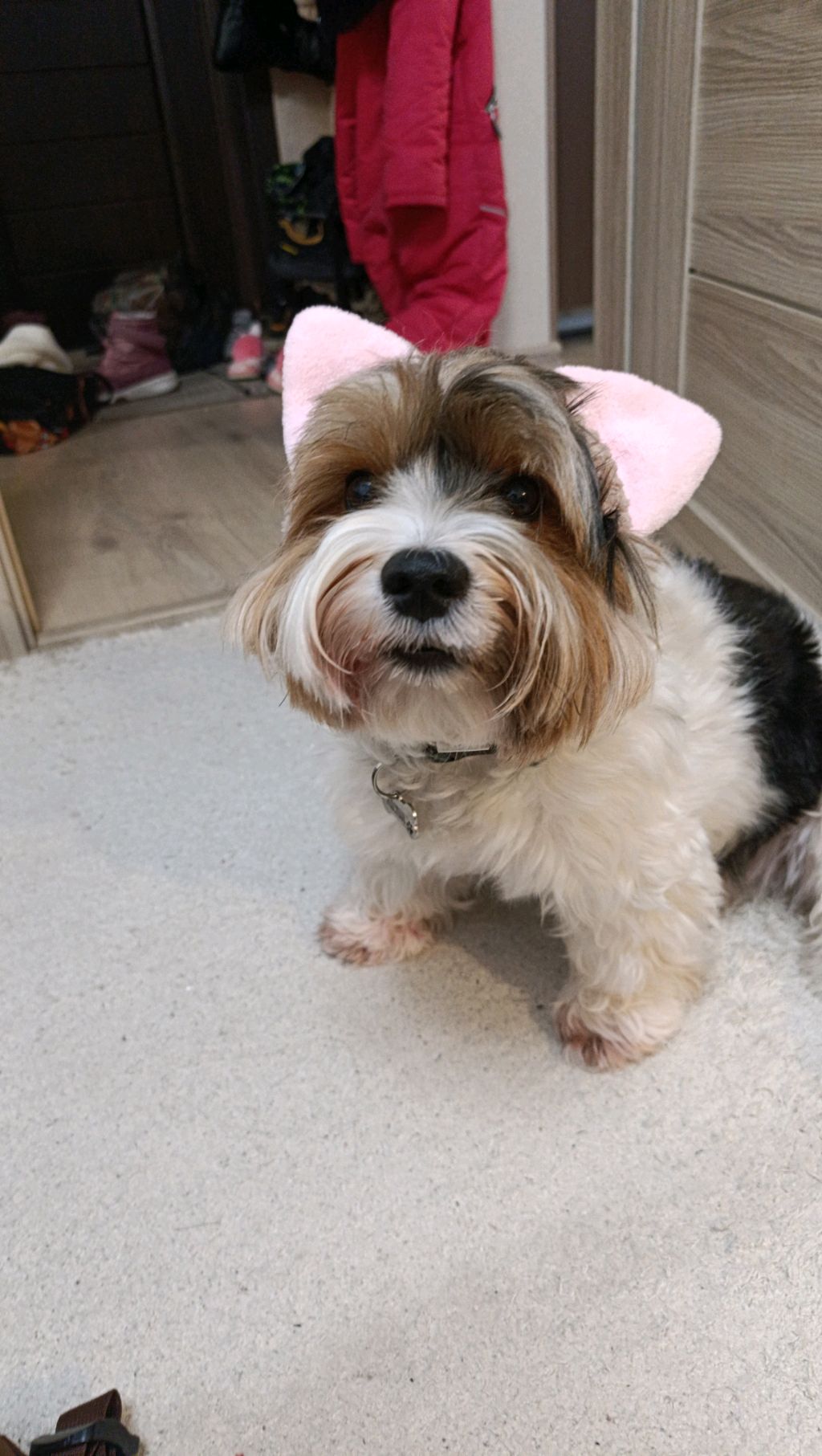 99 ночей пробую вижить