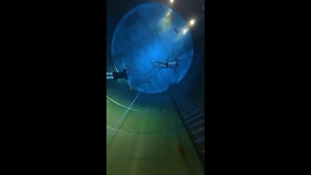 207   #ФРИДАЙВИНГ #ВНИМАНИЕ #ДЫХАНИЕ #РАССЛАБЛЕНИЕ