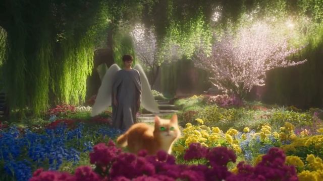 Добродетель-терпениеплоды Духа Святаго: любовь, радость, мир, долготерпение, благость..СЕРИАЛ РЫЖИКИ