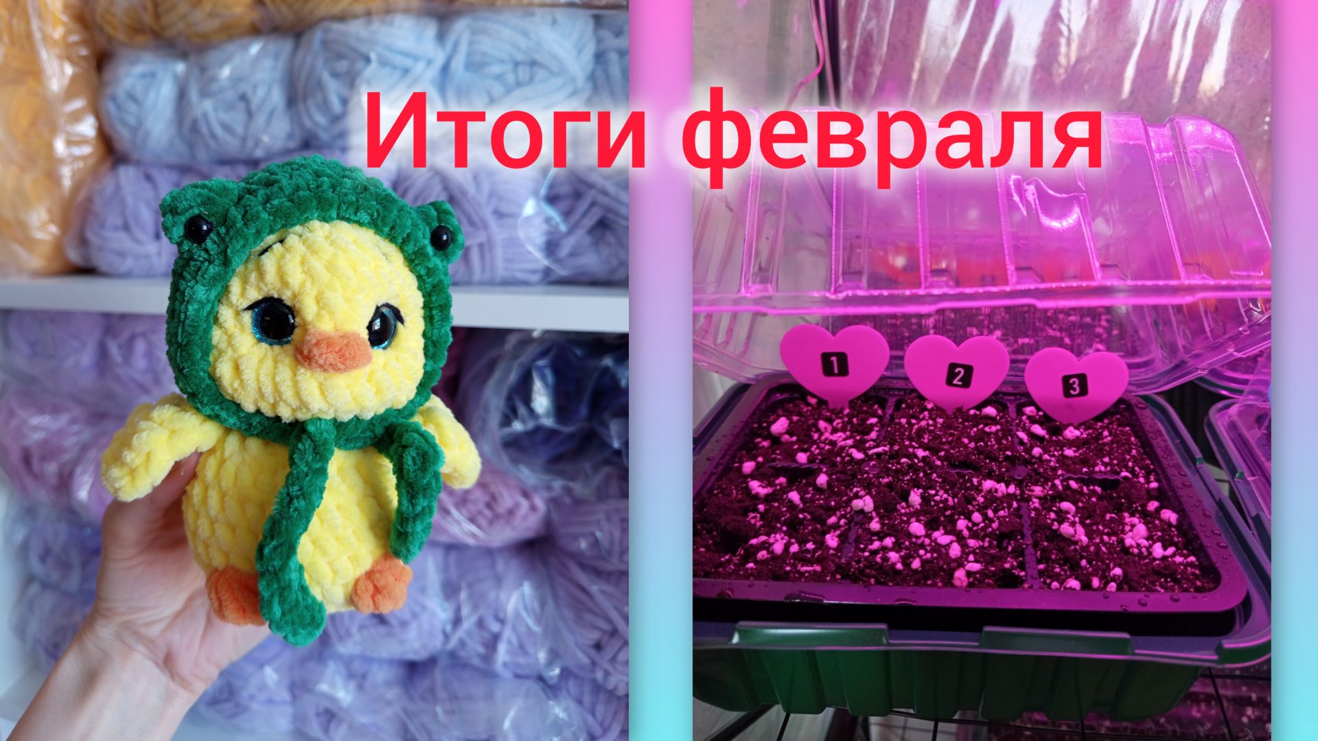 Итоги февраля/ Опять новинка к Пасхе 🐥/ Посадила рассаду 🌱