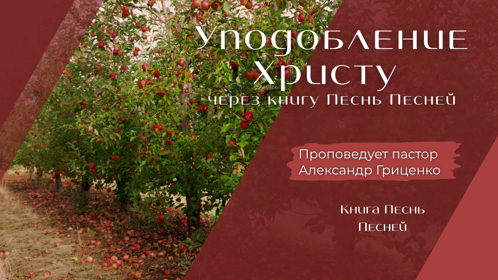 Уподобление Христу через книгу  Песнь Песней.