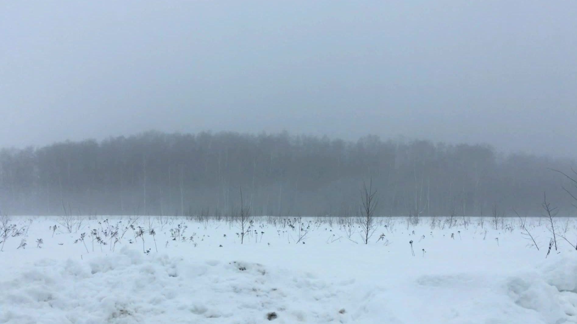 В туманной перспективе