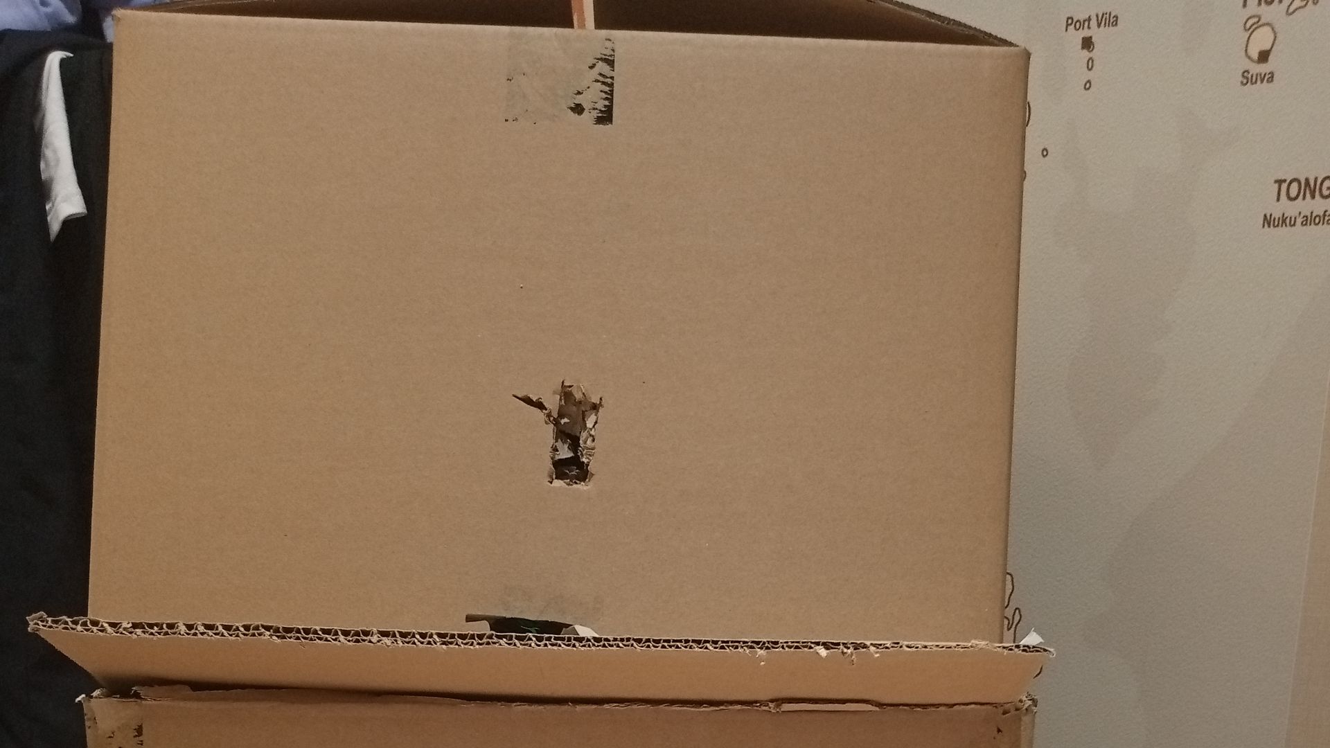 Рум тур картонного дома Лапки