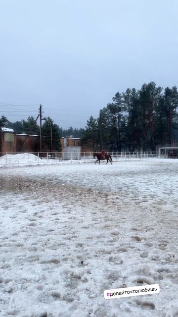 Тренировка Спорт С лошадью на всегда