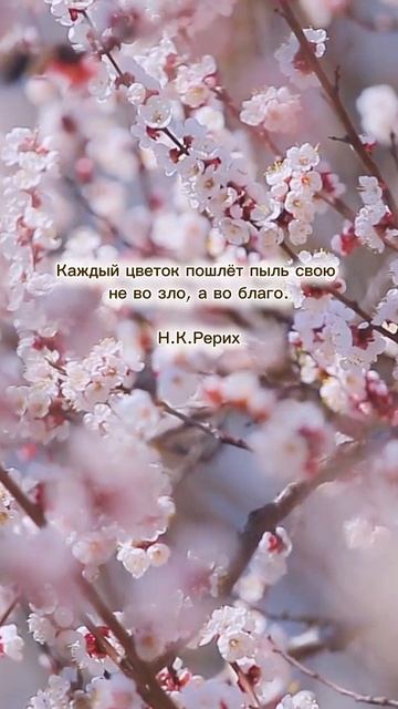 Н.К.Рерих. Во благо