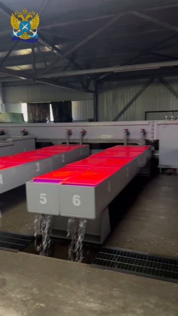 Преумножение рыбных богатств: дальневосточные лососи