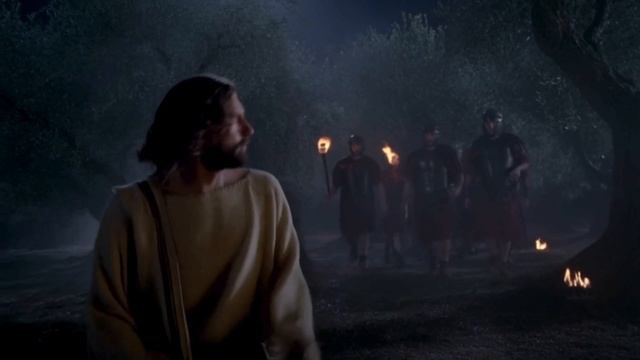 The Garden Of Gethsemane