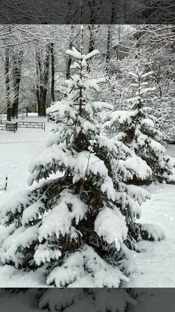 Сладкий сон. Олег Хромов.