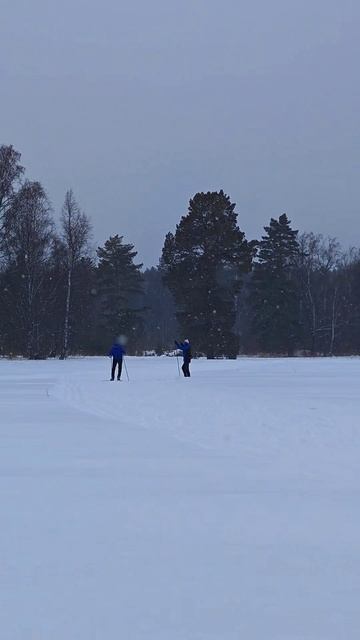 Лыжная трасса 