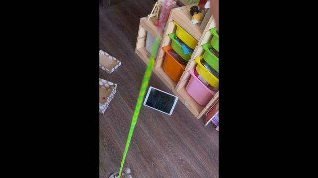 Влог день с басиками