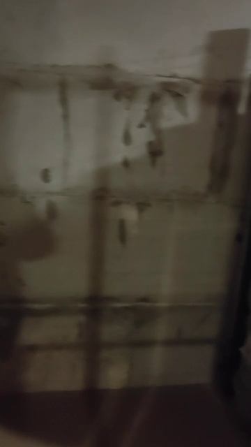 Помещение 2062-к5