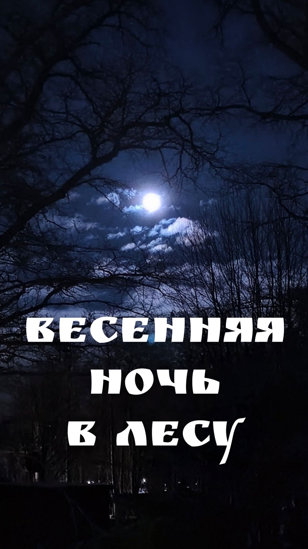 Весенняя ночь в лесу