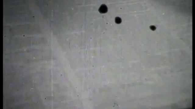 3b6dc1b6ffe98a63001290b350f4d3d7