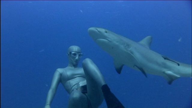 Speak Out Elementary DVD U_12