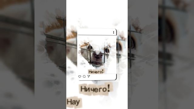 E70fa4d991a912eb6d959105a9ee5e49