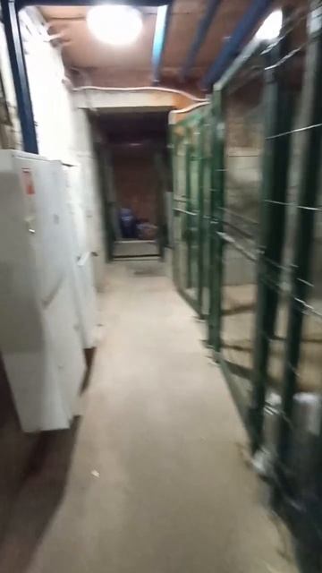 Помещение 2279