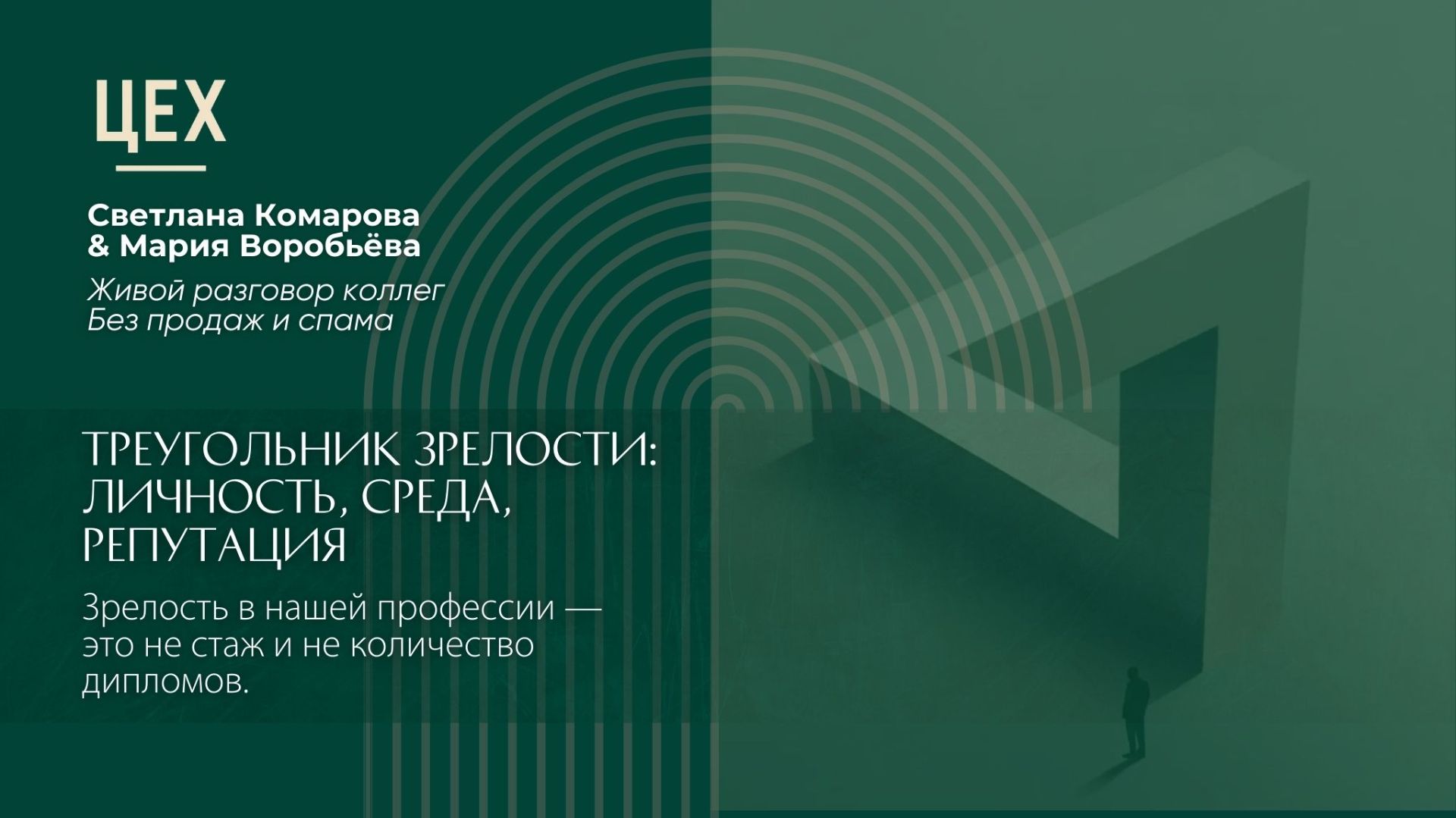 Вебинар «Треугольник зрелости: Личность, Среда, Репутация»