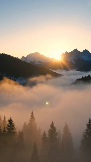 94c8c40e1e640de5785a7bbda4011eb1