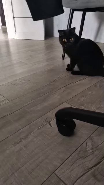 C742f8ea2551132cdb625a24601b753c