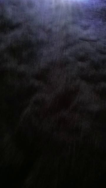 это былло ездит по тратуару ...