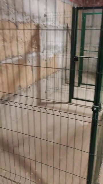 Помещение 2070