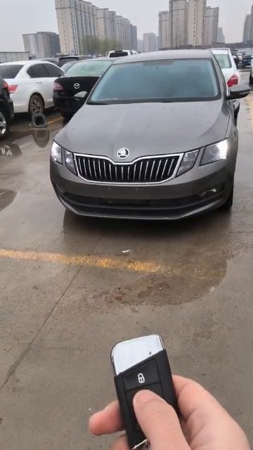 Skoda Octavia 2021, установка допоборудования