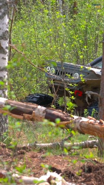 Ладога Трофи — 30 лет с вами!