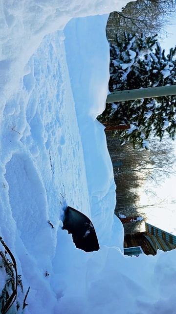 Папино детство