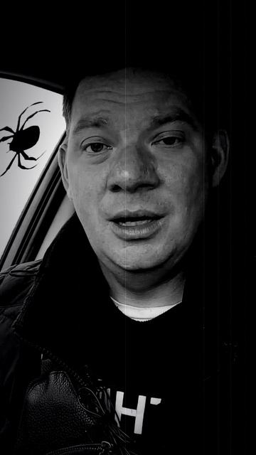 Не надо бояться... Е. Евтушенко.