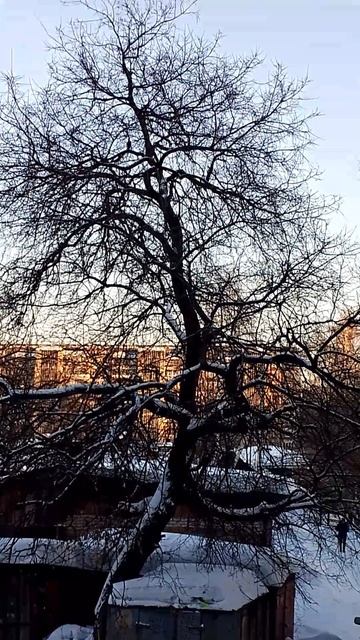 Просто вечер