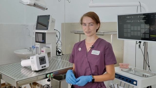 Лаборатории клиники Энималз