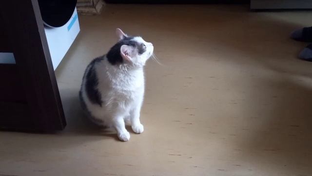 Document_5282797082451680410