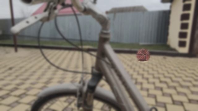 Stern_velorest