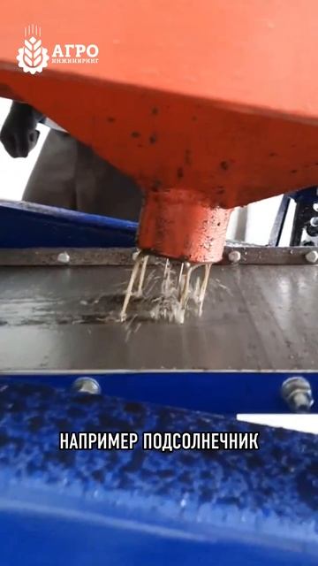 Чем отличается жмых от шрота 🤔