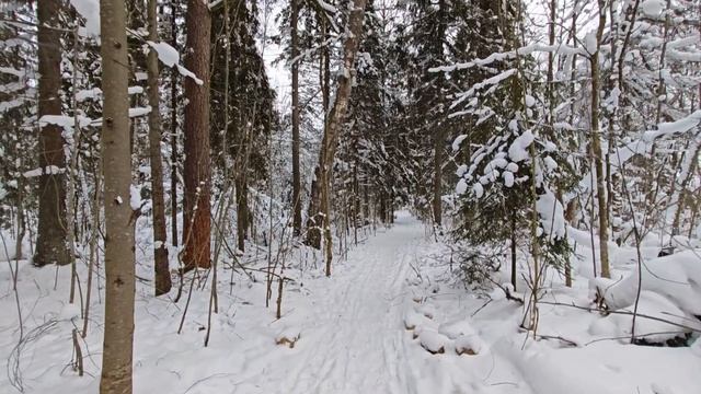 Продаётся дом в с. Рождествено