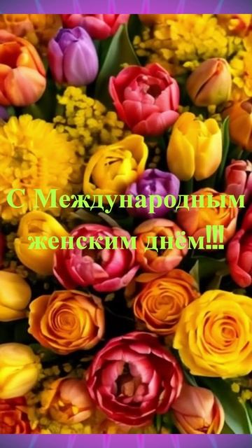 D0172a5862f7a50e61ebdd80bd3da620