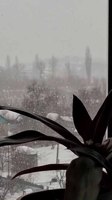 🌸🫣👍❤️❤️❤️❤️