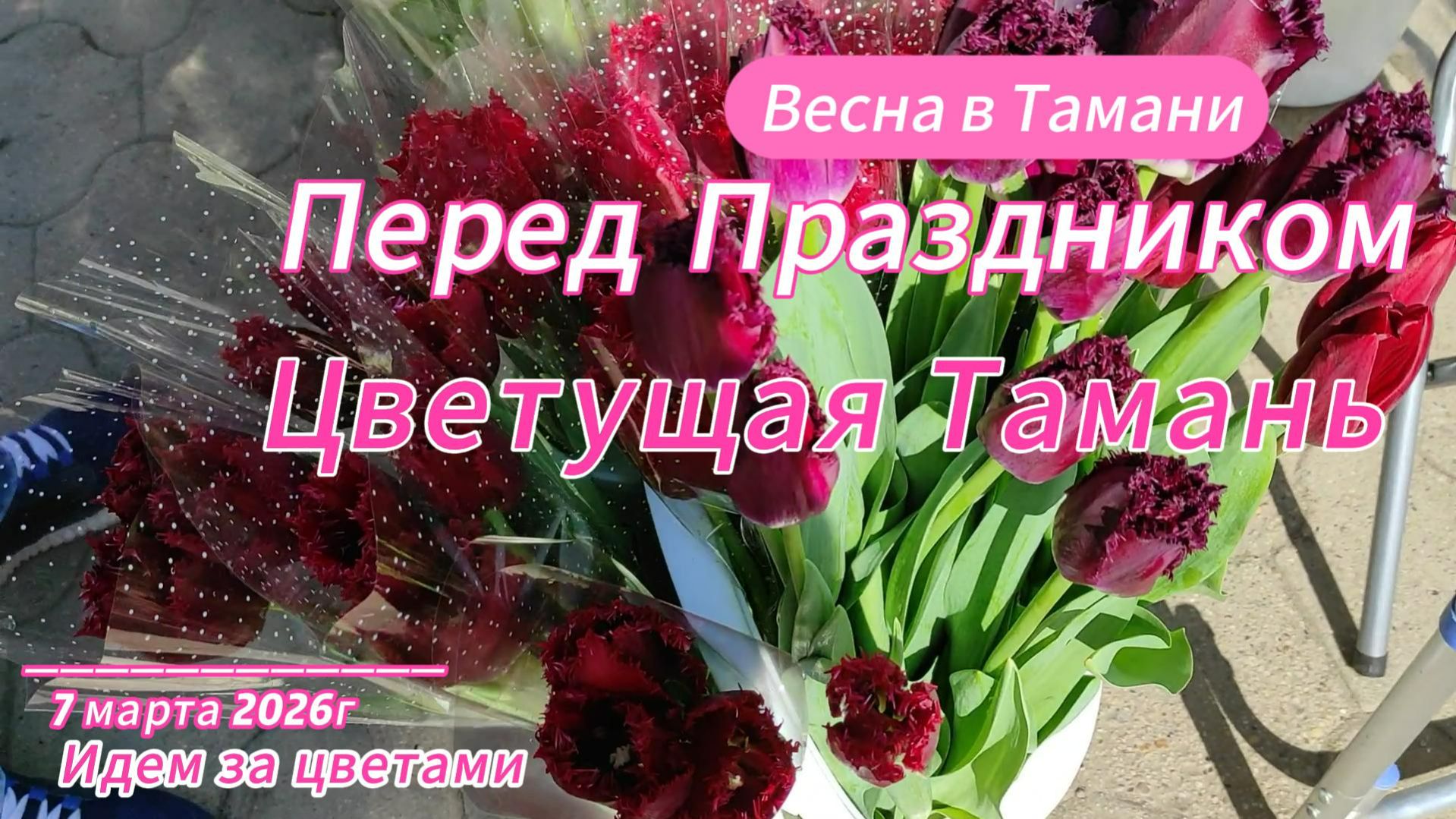 Перед Праздником. Цветущая Тамань. 7 Марта 2026г. Идем за цветами