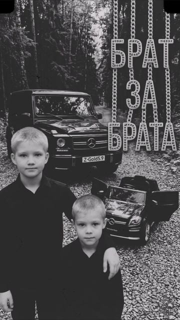 Брат за брата Z-Gold5.9