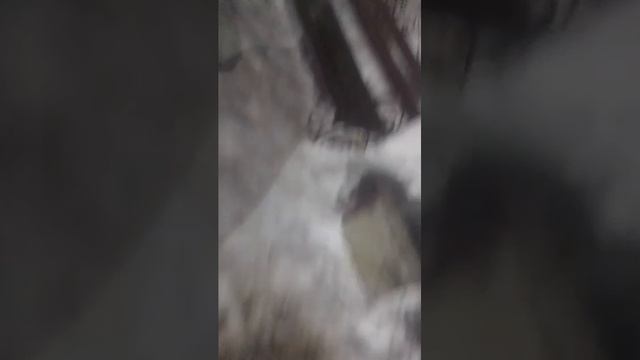 я иду к дедушке но не дойду